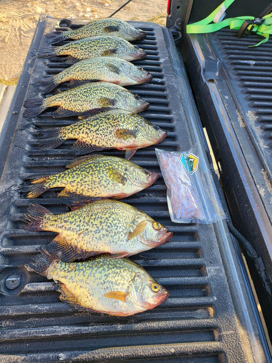 We Love To See Your Catches